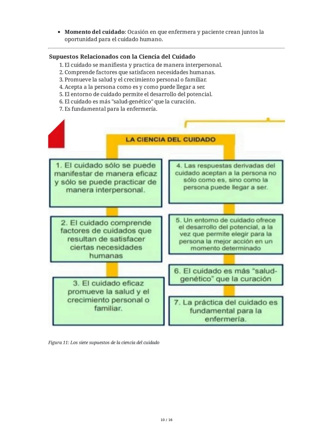 Historia y Epistemología del Cuidado: Escuela de Caring - Jean
Watson y Madeleine Leininger
1. Introducción
El curso "Historia y Epistemolog