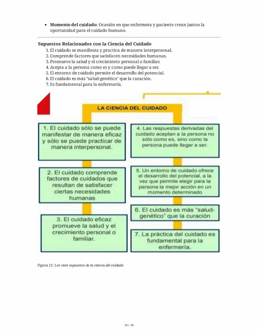 Historia y Epistemología del Cuidado: Escuela de Caring - Jean
Watson y Madeleine Leininger
1. Introducción
El curso "Historia y Epistemolog