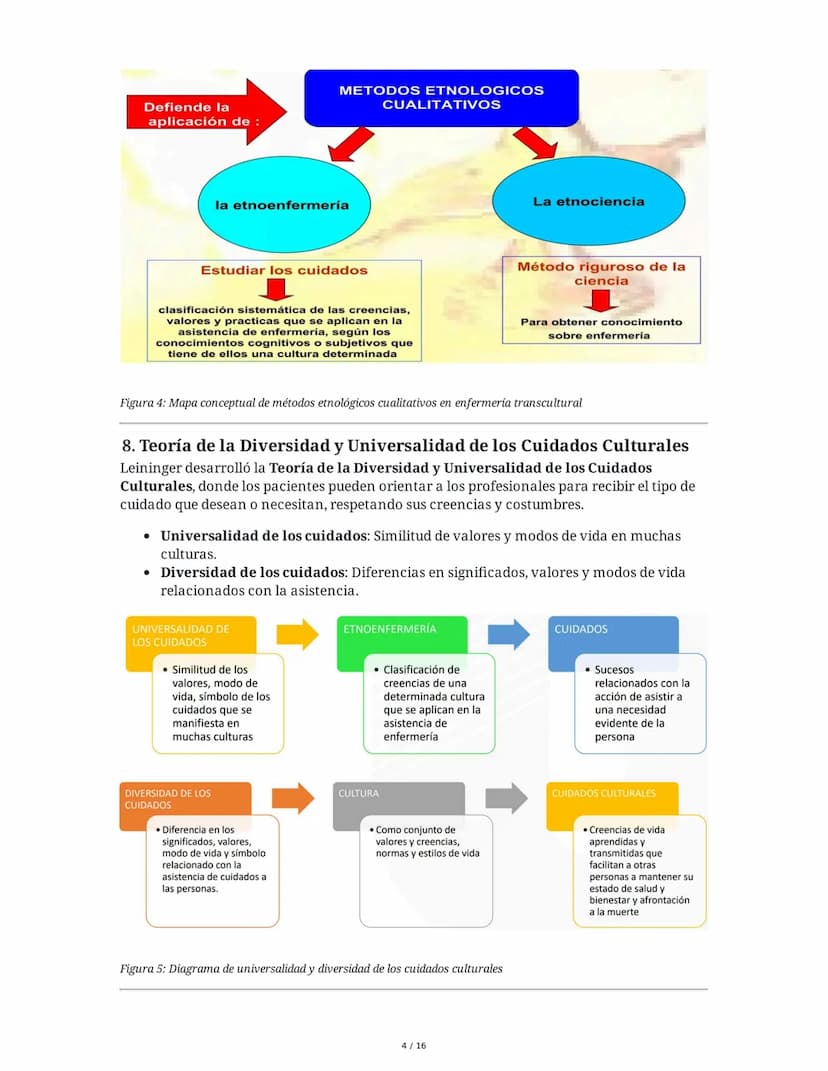 Historia y Epistemología del Cuidado: Escuela de Caring - Jean
Watson y Madeleine Leininger
1. Introducción
El curso "Historia y Epistemolog
