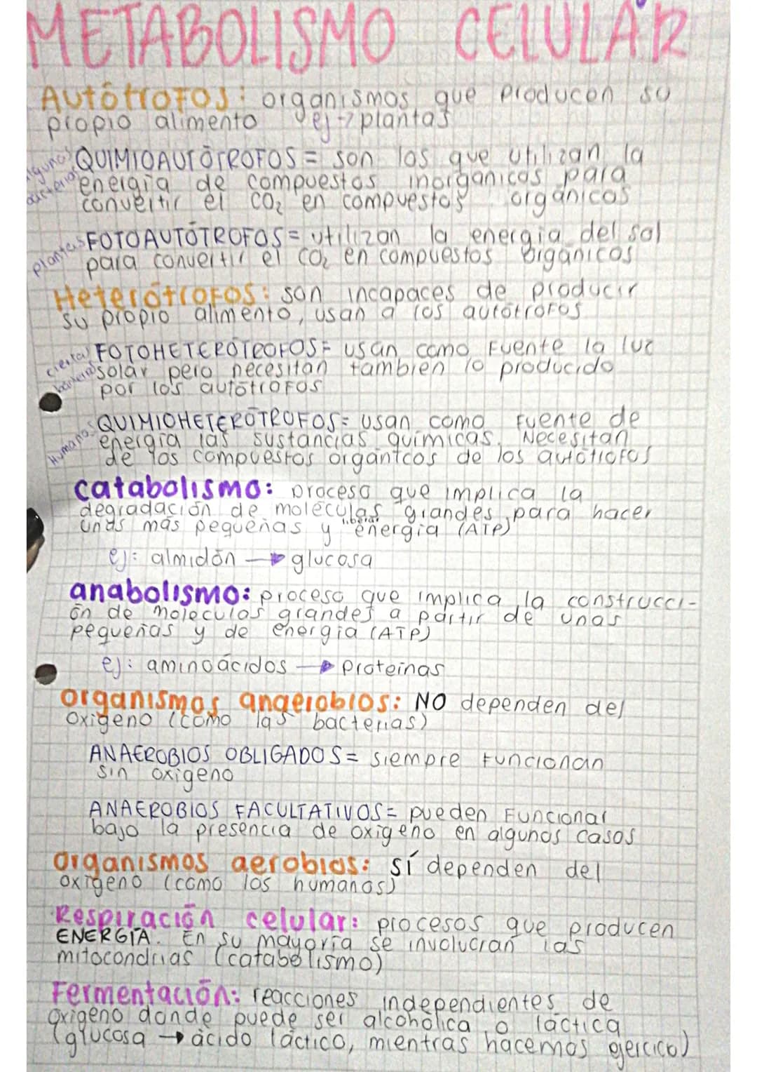 METABOLISMO CELULAR