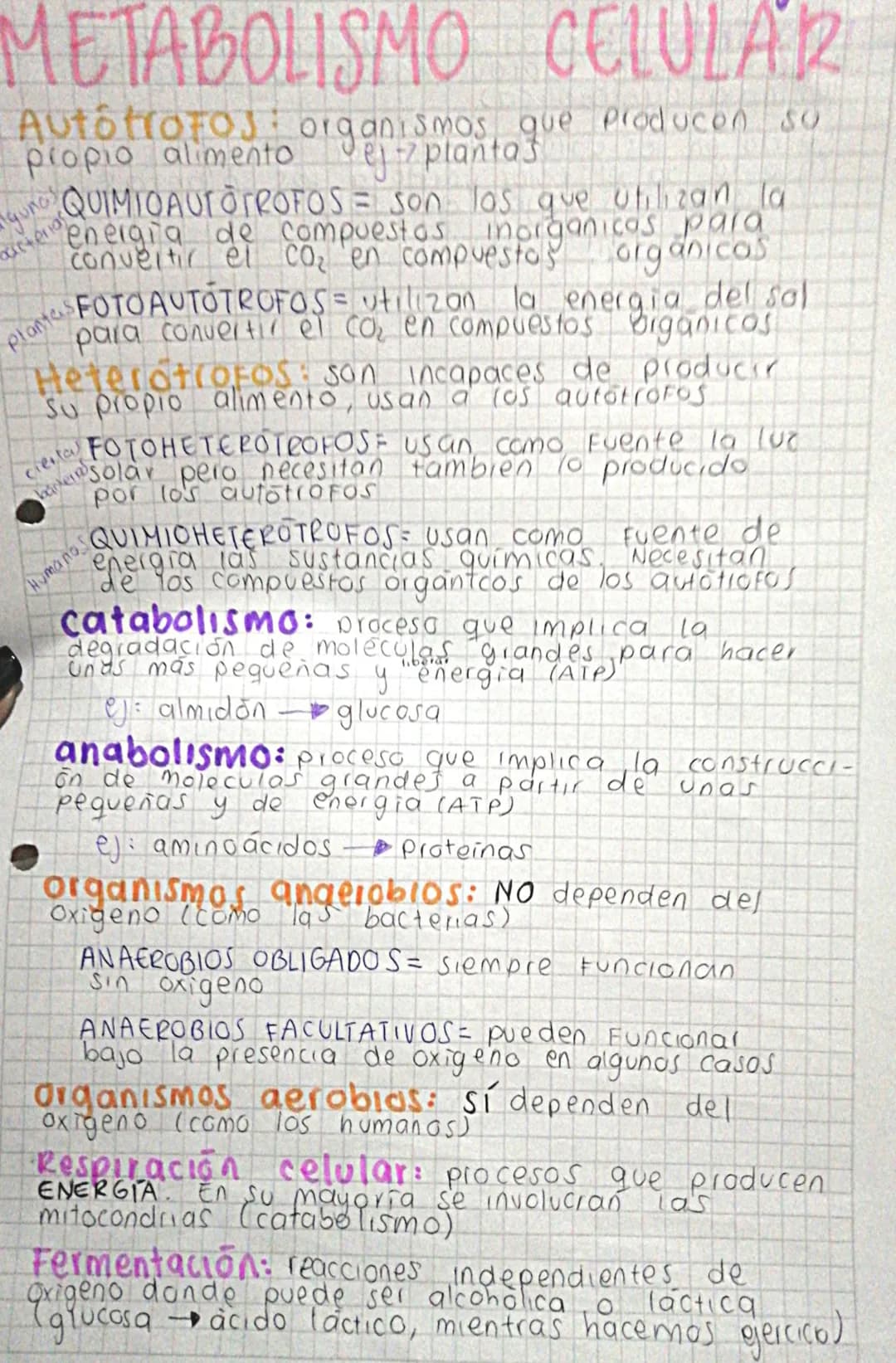 METABOLISMO CELULAR
Autotrofos organismos que producen so
propio alimento ej z plantas
gunos
bacterias
QUIMIOAUTOTROFOS = son los que utiliz
