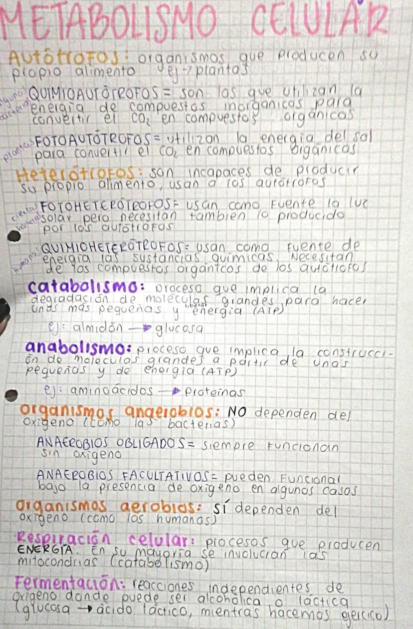 METABOLISMO CELULAR
Autotrofos organismos que producen so
propio alimento ej z plantas
gunos
bacterias
QUIMIOAUTOTROFOS = son los que utiliz