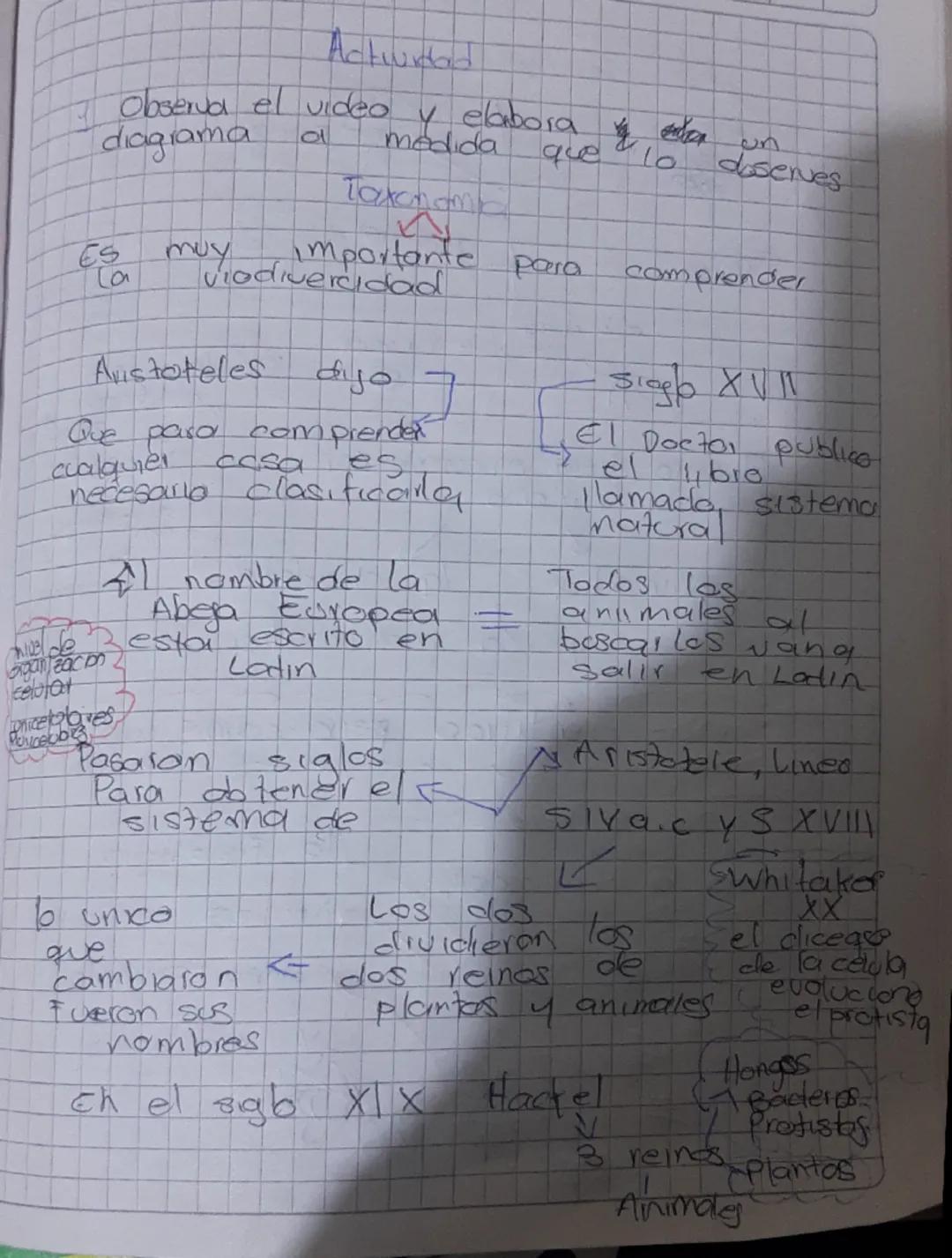 Actundad
Observa el video
diagrama
Es muy
이
elabora
medida
Taxonoma
un
que
lo
Importante para
viodiversidad
Austoteles
dijo
7
es
cualque
Que