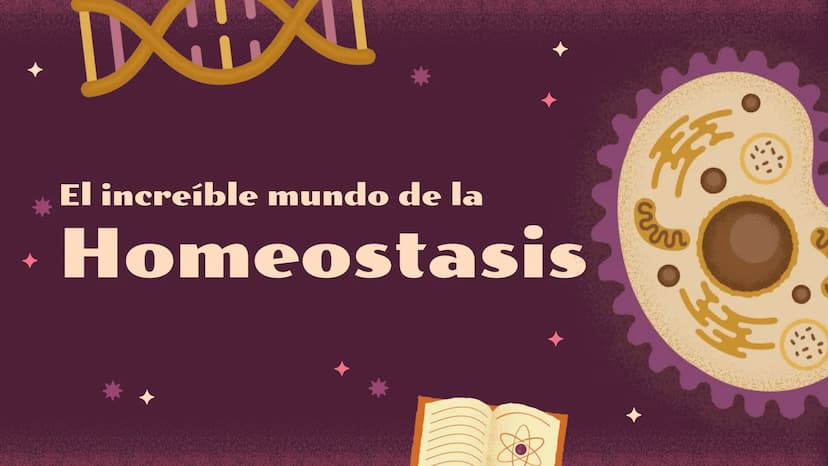 El increíble mundo de la
Homeostasis
E
খর
2 0
¿Qué es?
1 ¿Qué es la
homeostasis?
Nuestro cuerpo como una casa que necesita mantenerse a una
