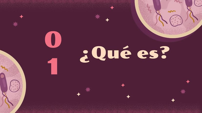 El increíble mundo de la
Homeostasis
E
খর
2 0
¿Qué es?
1 ¿Qué es la
homeostasis?
Nuestro cuerpo como una casa que necesita mantenerse a una

