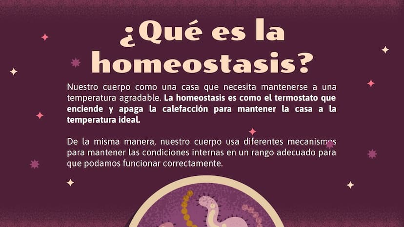 El increíble mundo de la
Homeostasis
E
খর
2 0
¿Qué es?
1 ¿Qué es la
homeostasis?
Nuestro cuerpo como una casa que necesita mantenerse a una
