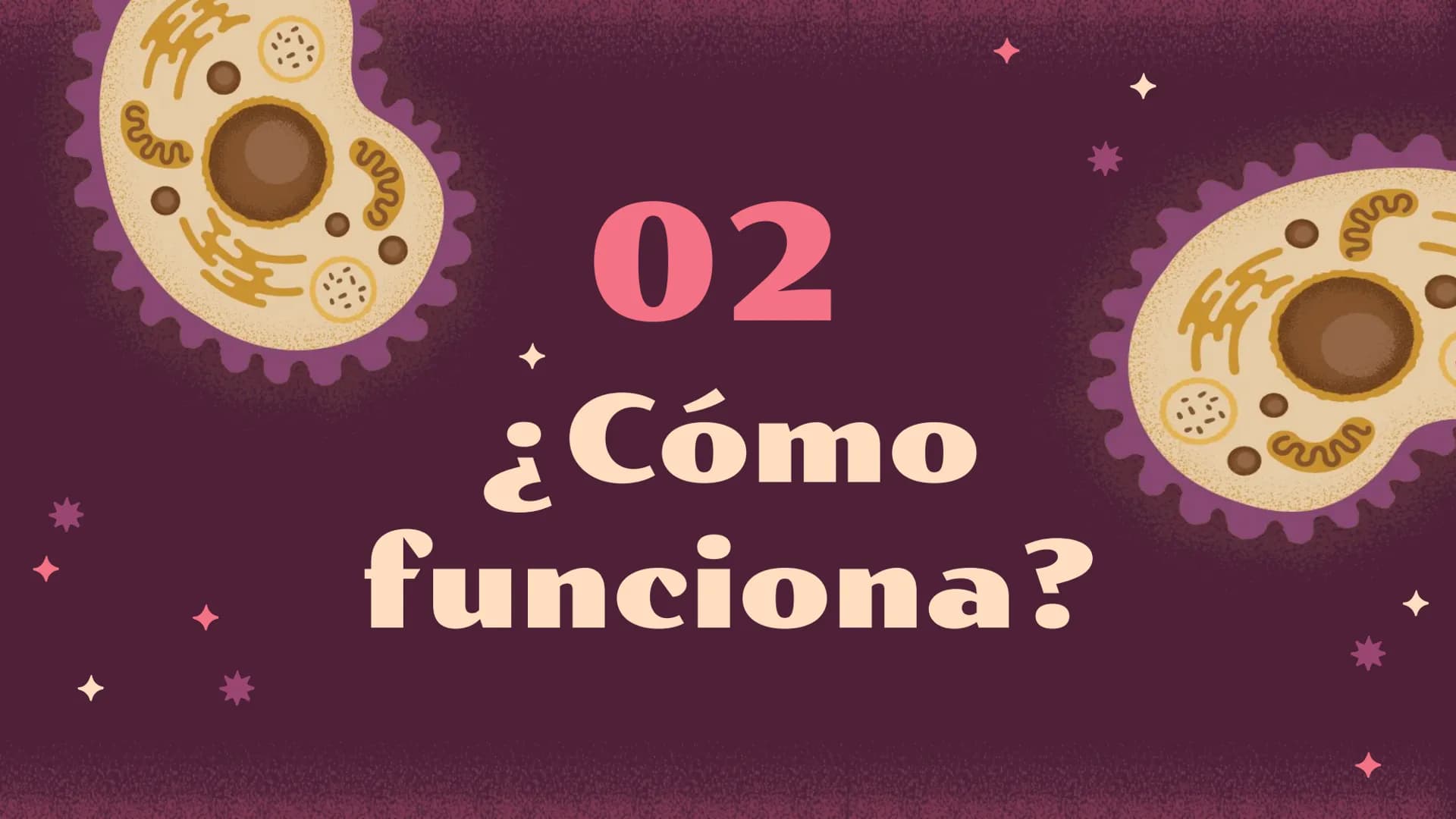 El increíble mundo de la
Homeostasis
E
খর
2 0
¿Qué es?
1 ¿Qué es la
homeostasis?
Nuestro cuerpo como una casa que necesita mantenerse a una
