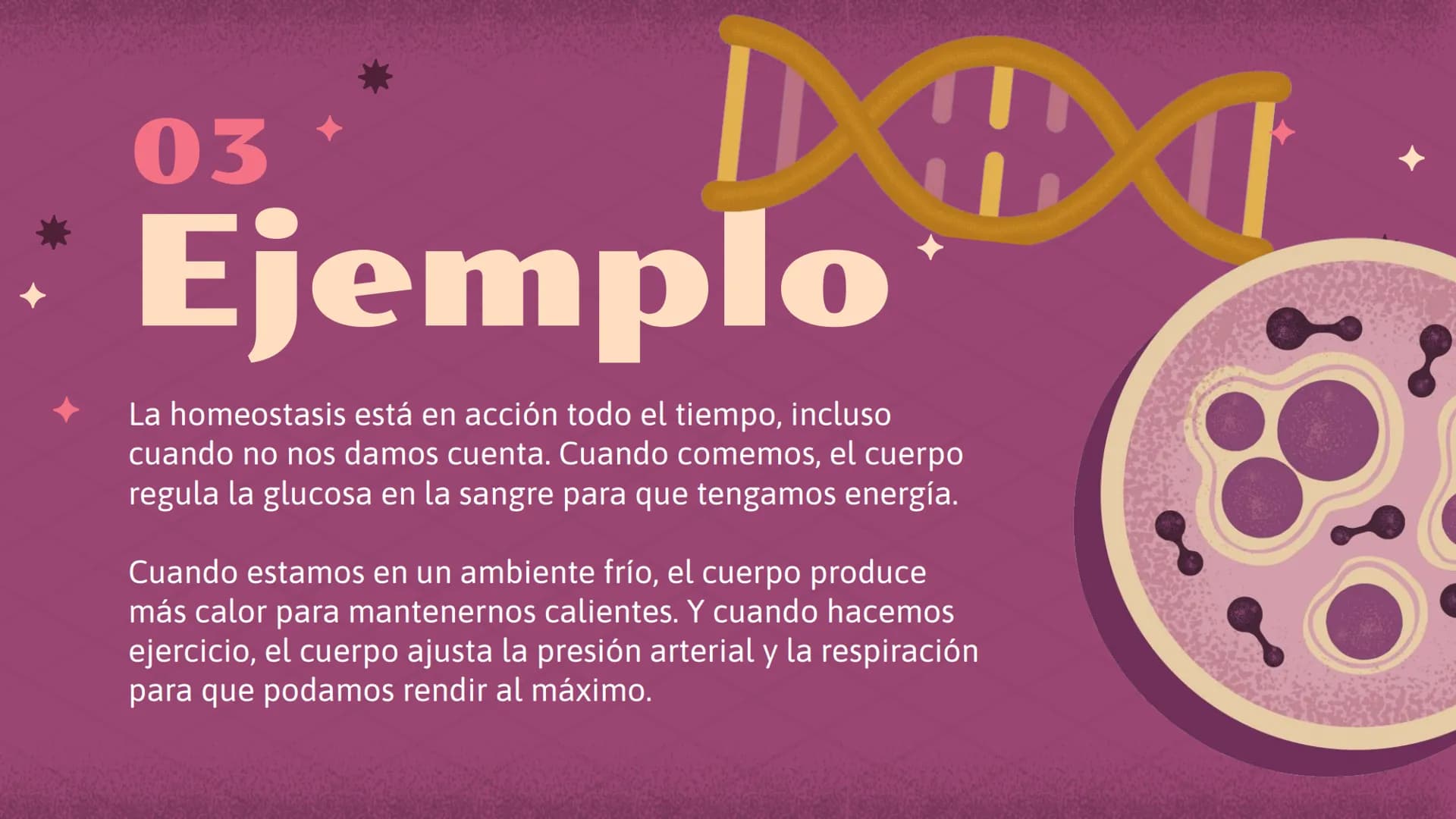 El increíble mundo de la
Homeostasis
E
খর
2 0
¿Qué es?
1 ¿Qué es la
homeostasis?
Nuestro cuerpo como una casa que necesita mantenerse a una
