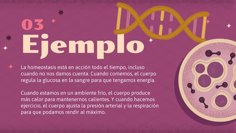 El increíble mundo de la
Homeostasis
E
খর
2 0
¿Qué es?
1 ¿Qué es la
homeostasis?
Nuestro cuerpo como una casa que necesita mantenerse a una
