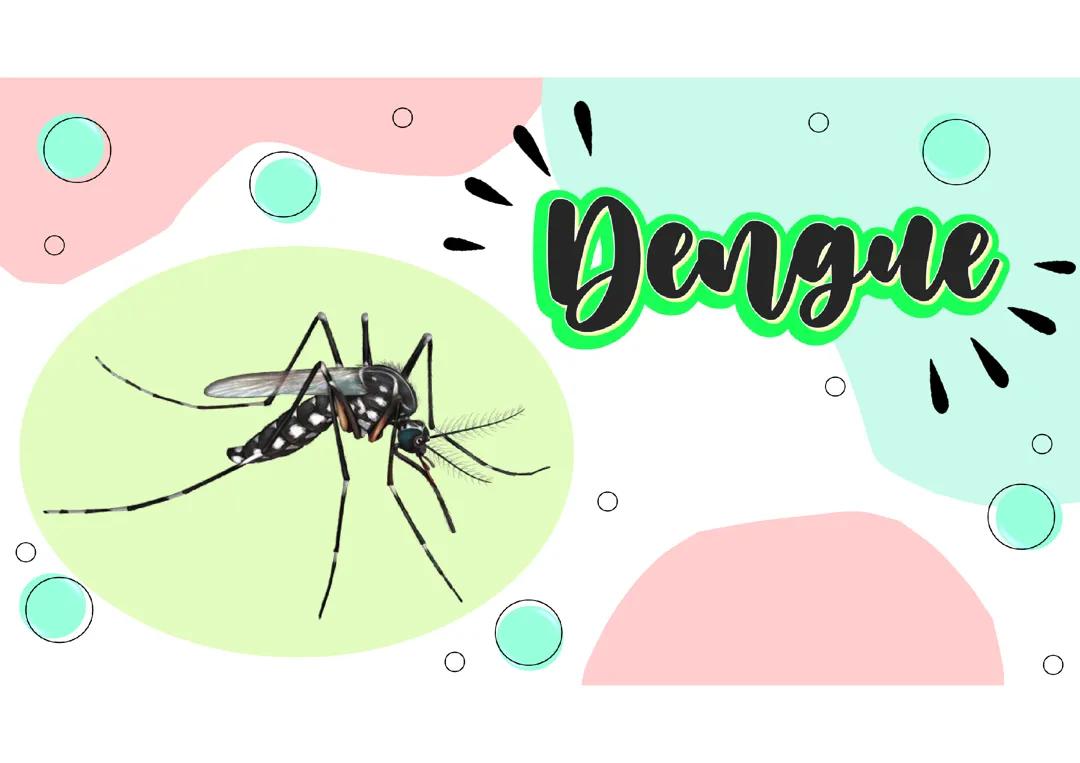 Dengue: Cómo prevenir y comprender el virus