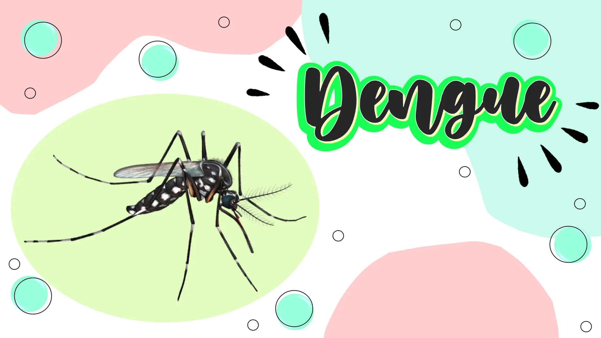 О
о
Dengue
о
О DEFINICIÓN
M
Aedes Aegypti TRIADA ECOLÓGICA
HUESPED
AGENTE
MEDIO
AMBIENTE CLASIFICACIÓN
DENGUE
AGUDO
DENGUE
GRAVE PERIODO DE
