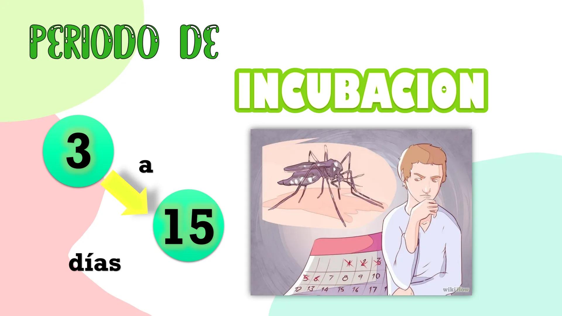 О
о
Dengue
о
О DEFINICIÓN
M
Aedes Aegypti TRIADA ECOLÓGICA
HUESPED
AGENTE
MEDIO
AMBIENTE CLASIFICACIÓN
DENGUE
AGUDO
DENGUE
GRAVE PERIODO DE
