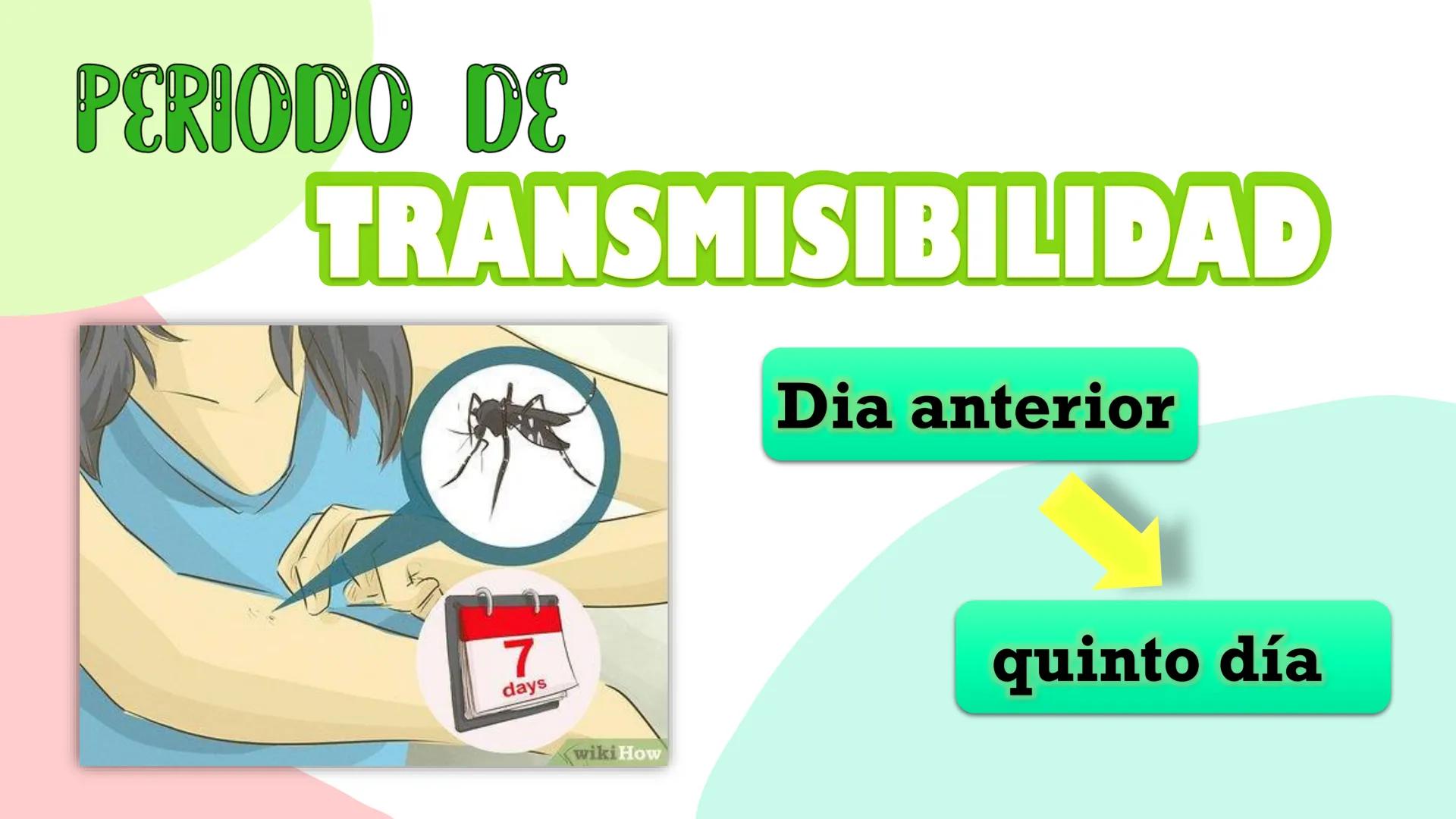 О
о
Dengue
о
О DEFINICIÓN
M
Aedes Aegypti TRIADA ECOLÓGICA
HUESPED
AGENTE
MEDIO
AMBIENTE CLASIFICACIÓN
DENGUE
AGUDO
DENGUE
GRAVE PERIODO DE
