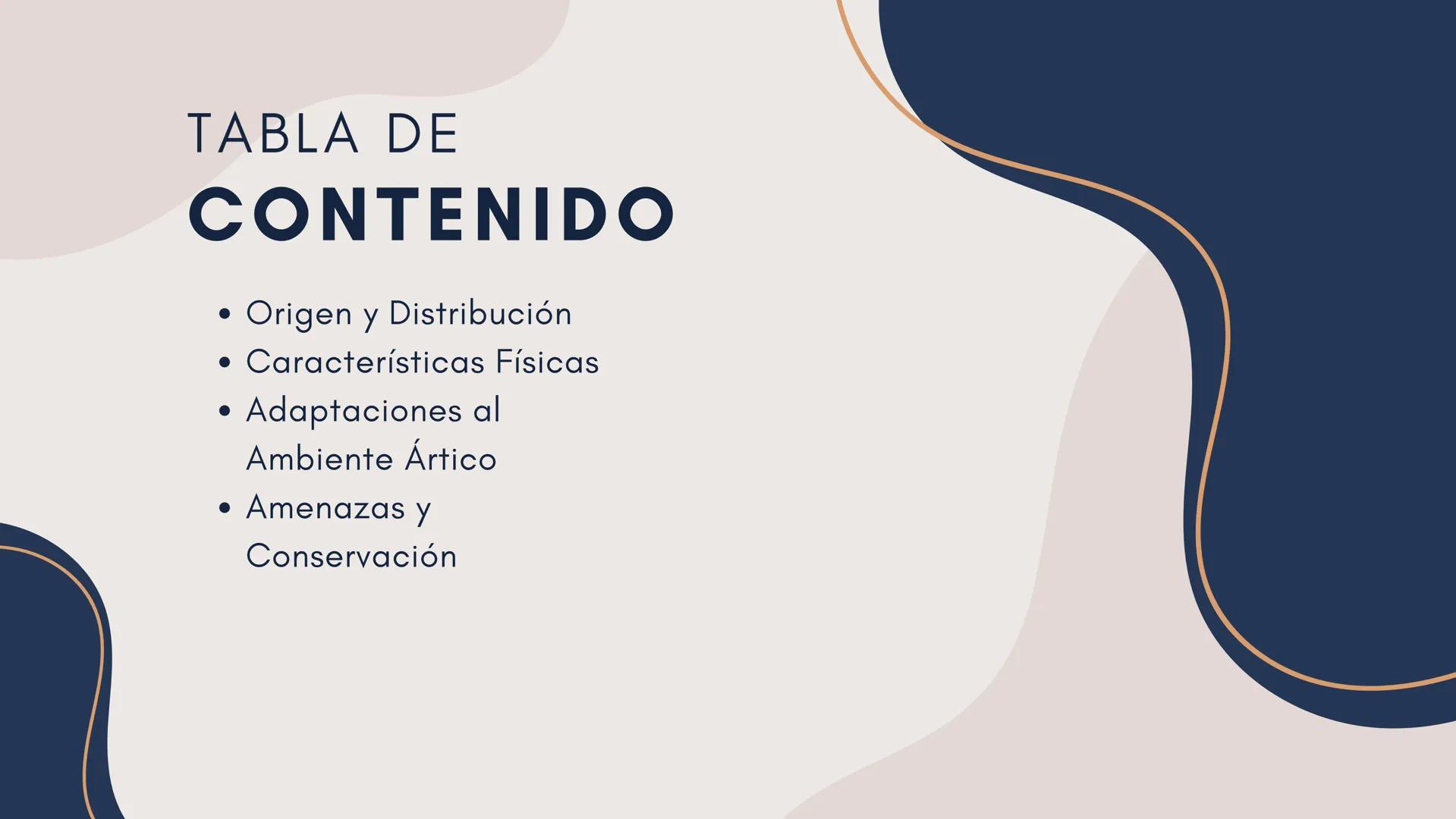 oso
Polar TABLA DE
CONTENIDO
•
•
•
•
Origen y Distribución
Características Físicas
Adaptaciones al
Ambiente Ártico
Amenazas y
Conservación O