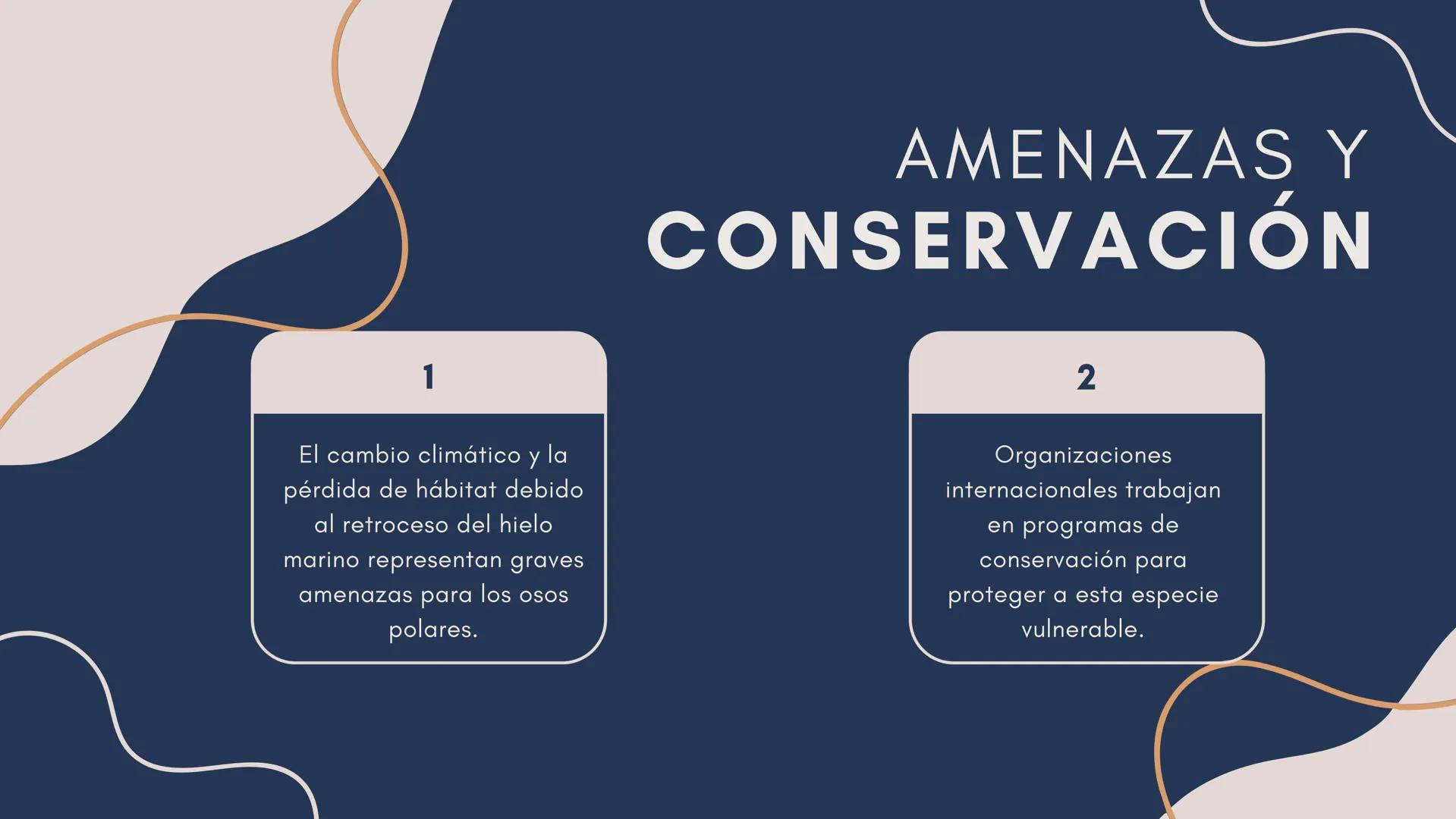 oso
Polar TABLA DE
CONTENIDO
•
•
•
•
Origen y Distribución
Características Físicas
Adaptaciones al
Ambiente Ártico
Amenazas y
Conservación O