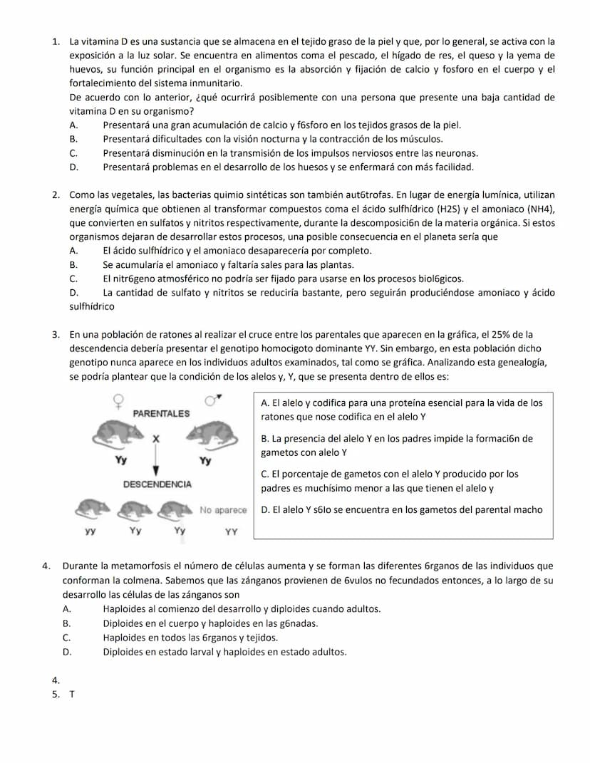 4.
1.
La vitamina D es una sustancia que se almacena en el tejido graso de la piel y que, por lo general, se activa con la
exposición a la l