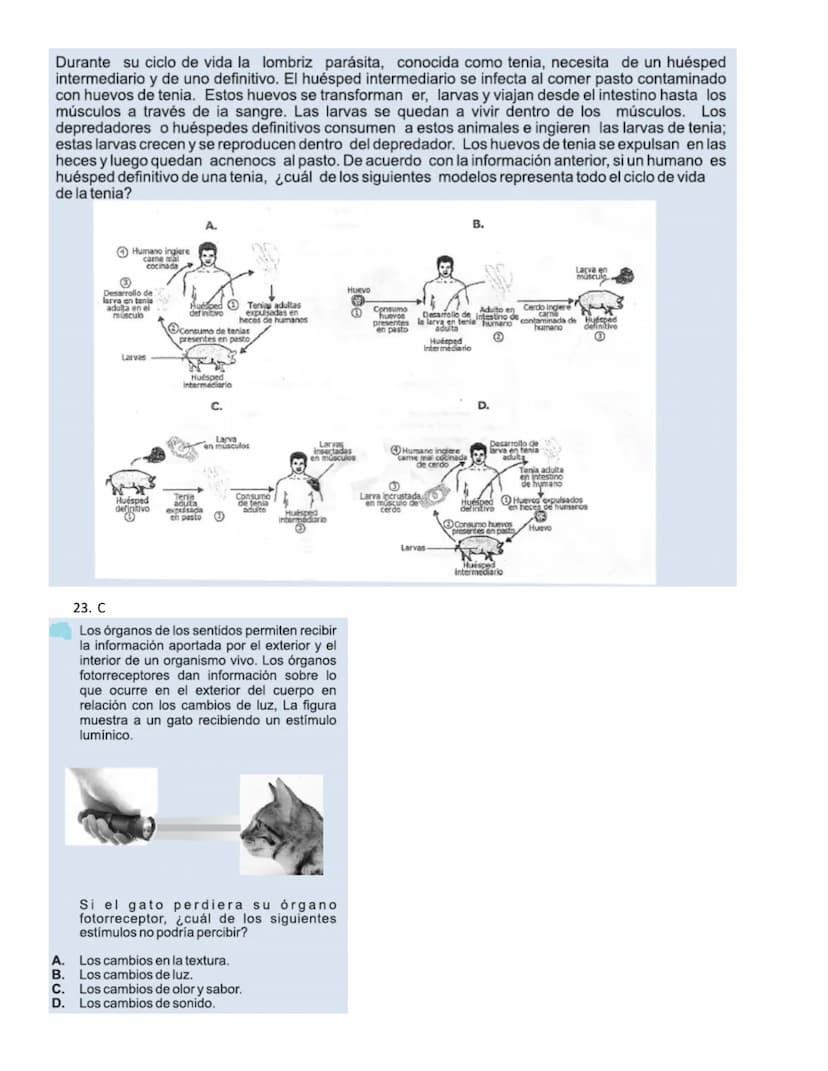 4.
1.
La vitamina D es una sustancia que se almacena en el tejido graso de la piel y que, por lo general, se activa con la
exposición a la l