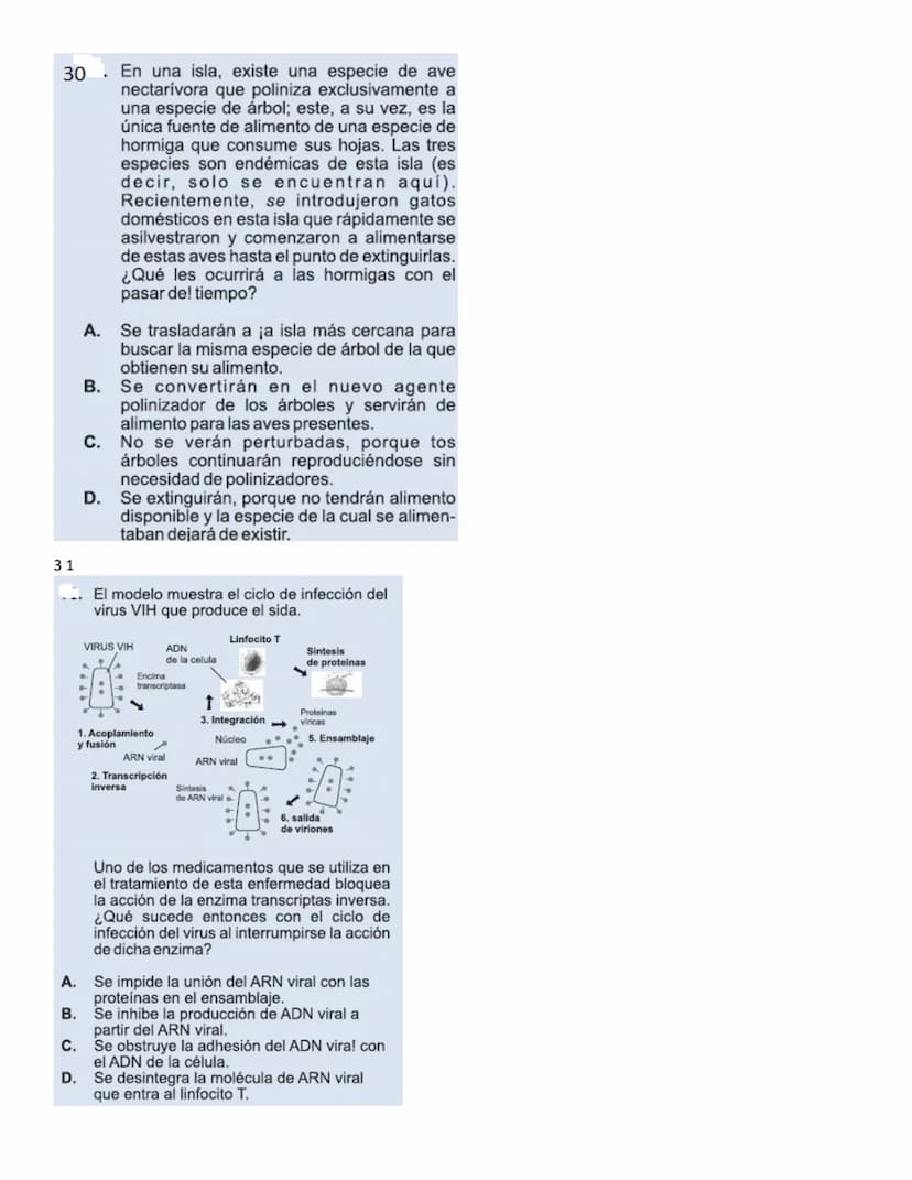 4.
1.
La vitamina D es una sustancia que se almacena en el tejido graso de la piel y que, por lo general, se activa con la
exposición a la l