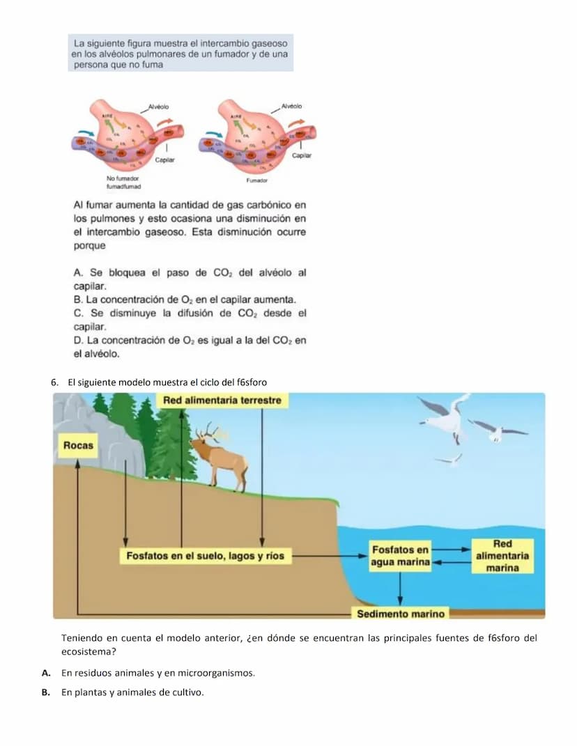 4.
1.
La vitamina D es una sustancia que se almacena en el tejido graso de la piel y que, por lo general, se activa con la
exposición a la l
