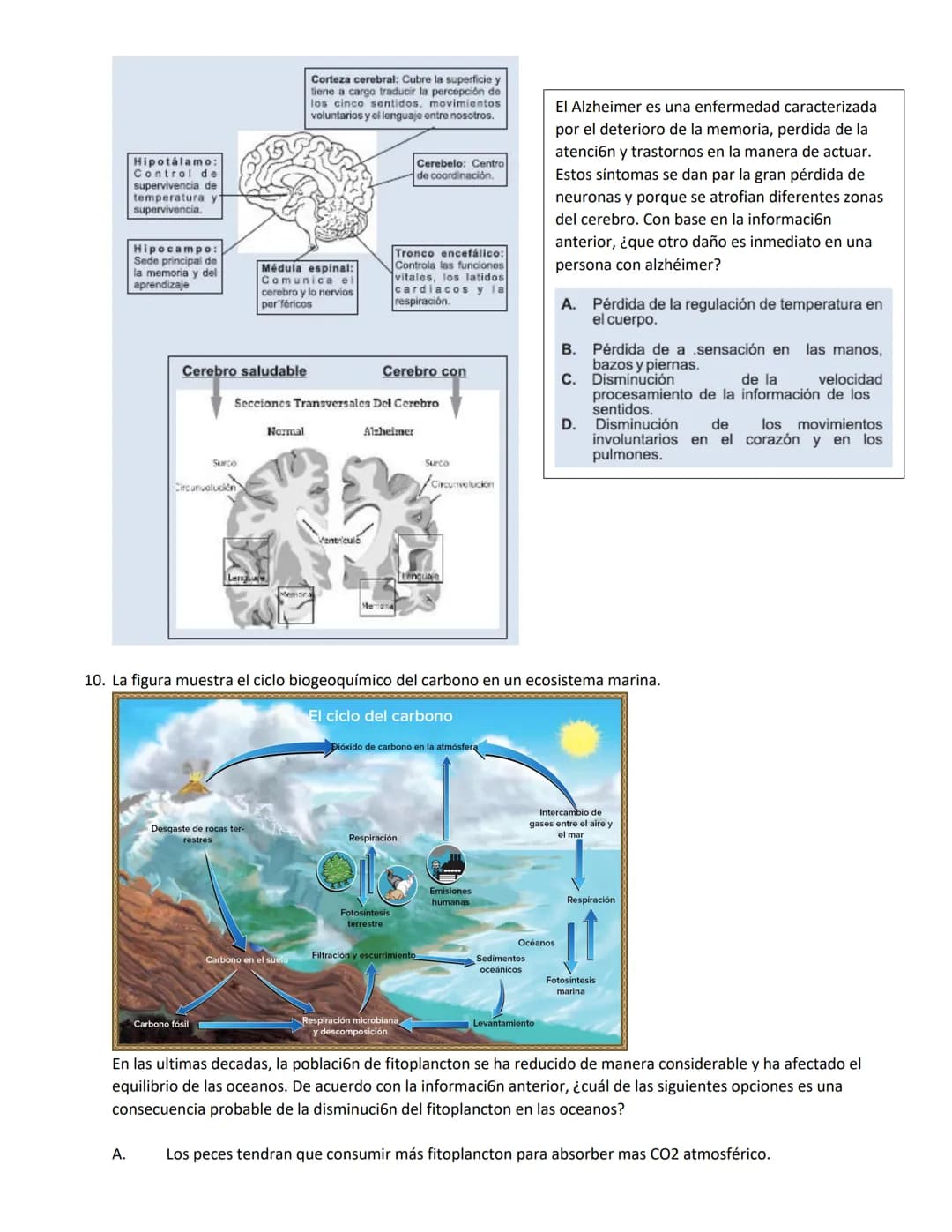 4.
1.
La vitamina D es una sustancia que se almacena en el tejido graso de la piel y que, por lo general, se activa con la
exposición a la l