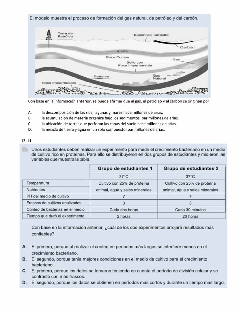 4.
1.
La vitamina D es una sustancia que se almacena en el tejido graso de la piel y que, por lo general, se activa con la
exposición a la l