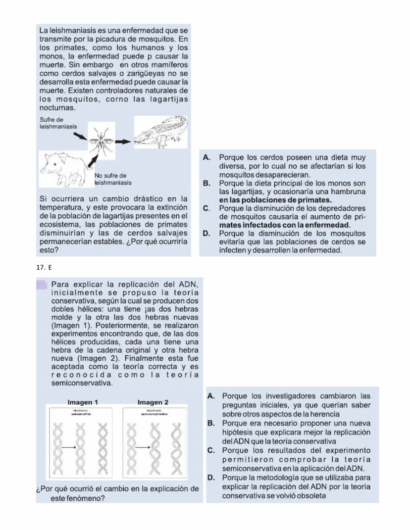 4.
1.
La vitamina D es una sustancia que se almacena en el tejido graso de la piel y que, por lo general, se activa con la
exposición a la l