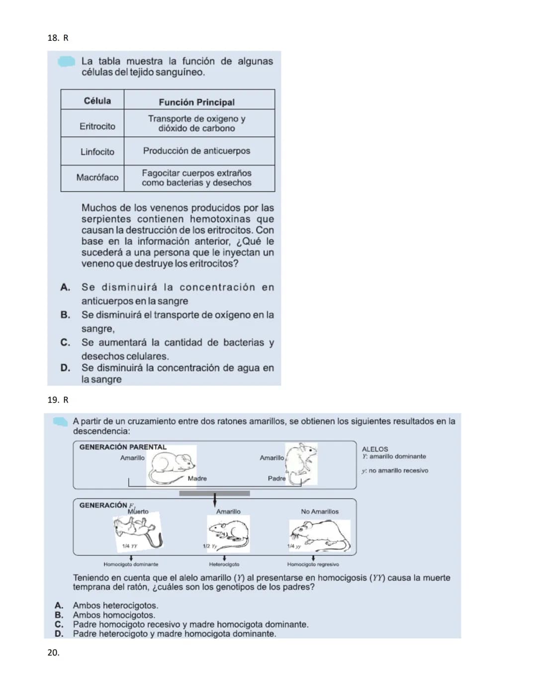 4.
1.
La vitamina D es una sustancia que se almacena en el tejido graso de la piel y que, por lo general, se activa con la
exposición a la l