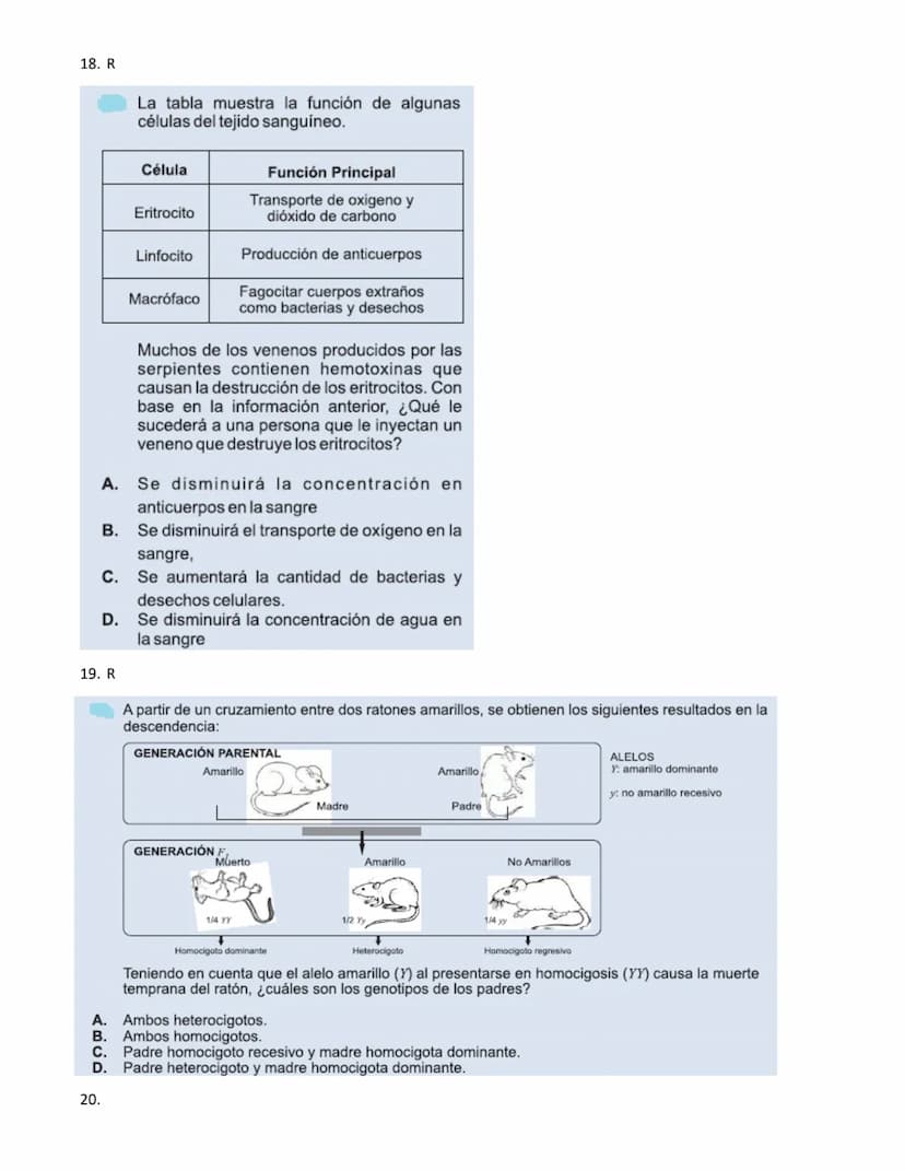 4.
1.
La vitamina D es una sustancia que se almacena en el tejido graso de la piel y que, por lo general, se activa con la
exposición a la l