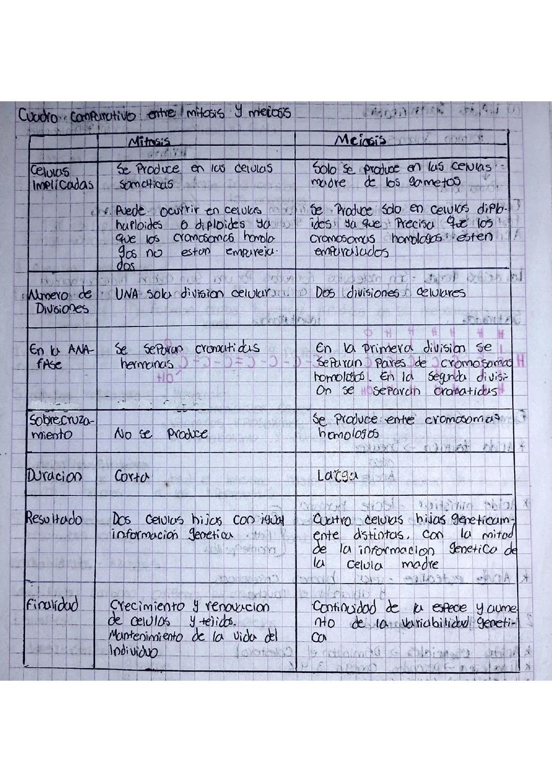 Cuadro comparativo entre mitosis y meiosis