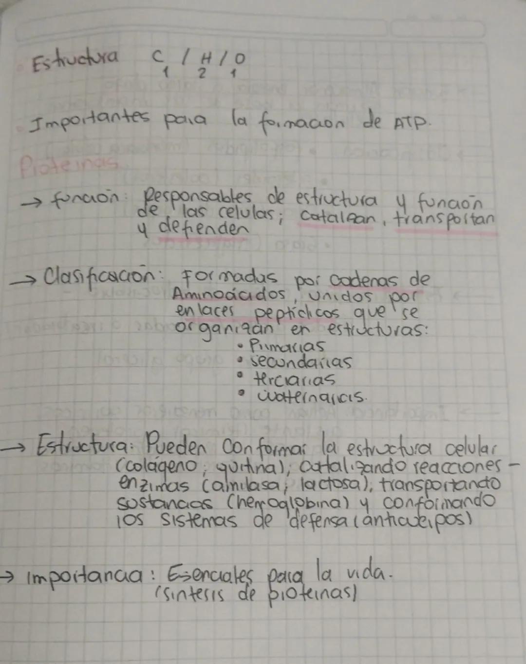 →funaan proporcionan energia rapida
ما
celolas
a las
fundamentales en la estructura de
las paredes celulares.
。 Hono sacondos.
جا
↳ Azucales