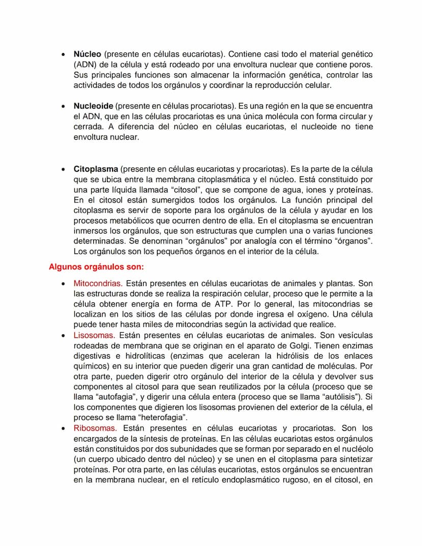 LA CÉLULA
¿Qué es una célula?
La célula es la unidad estructural y funcional de todos los organismos vivos. Constituye
la forma más pequeña 