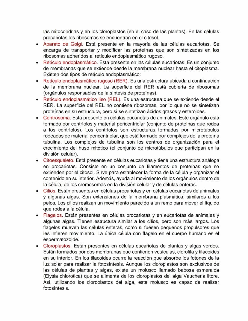 LA CÉLULA
¿Qué es una célula?
La célula es la unidad estructural y funcional de todos los organismos vivos. Constituye
la forma más pequeña 