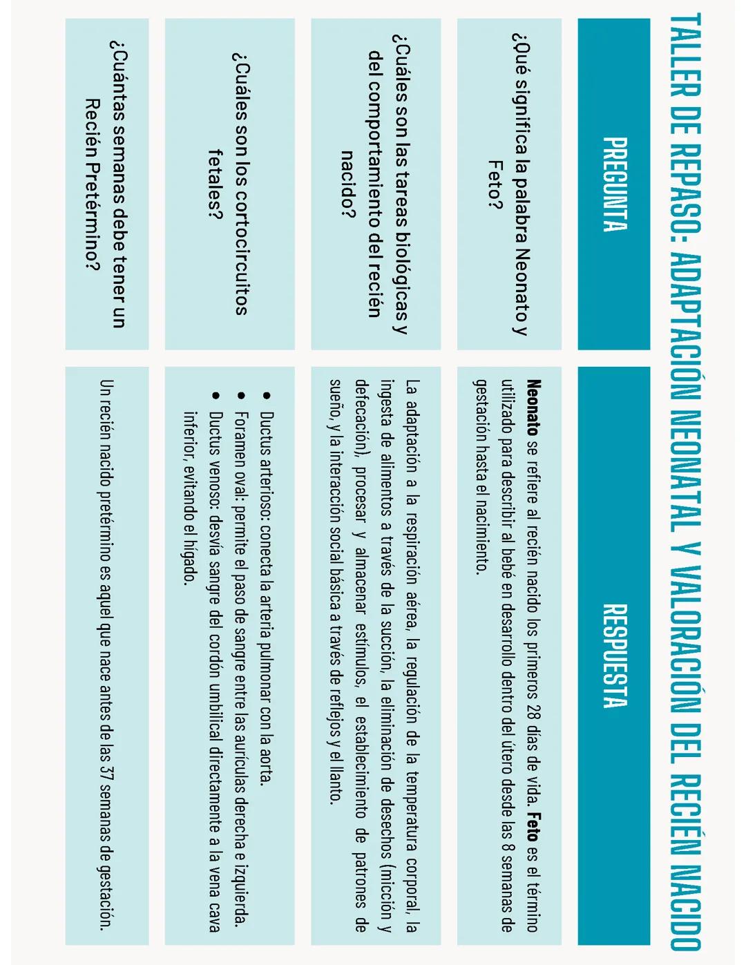 preguntas sobre el nacimiento
