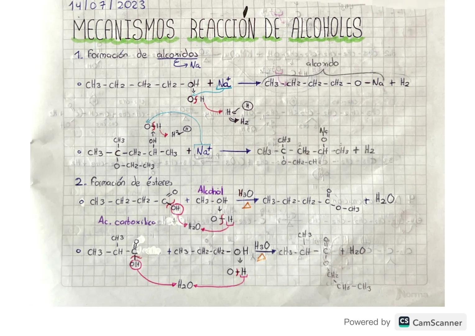 14/07/2023

MECANISMOS REACCIÓN DE ALCOHOLES

1. Formación de alcoxidos

HO
Na
alcoxido
•CH3-CH2-CH2-CH2-OH + NaCH3-CH2-CH2-CH2 - 0 - Na + H