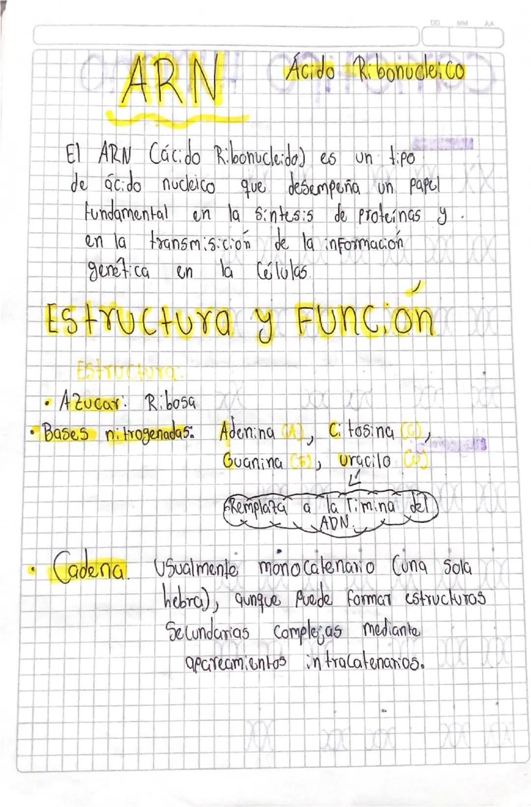 DO
MM
CARN
Ácido Ribonucleico
El ARN Cácido Ribonucleida) es un tipo
de ácido nucleico que desempeña un papel
Fundamental en la sintesis de 