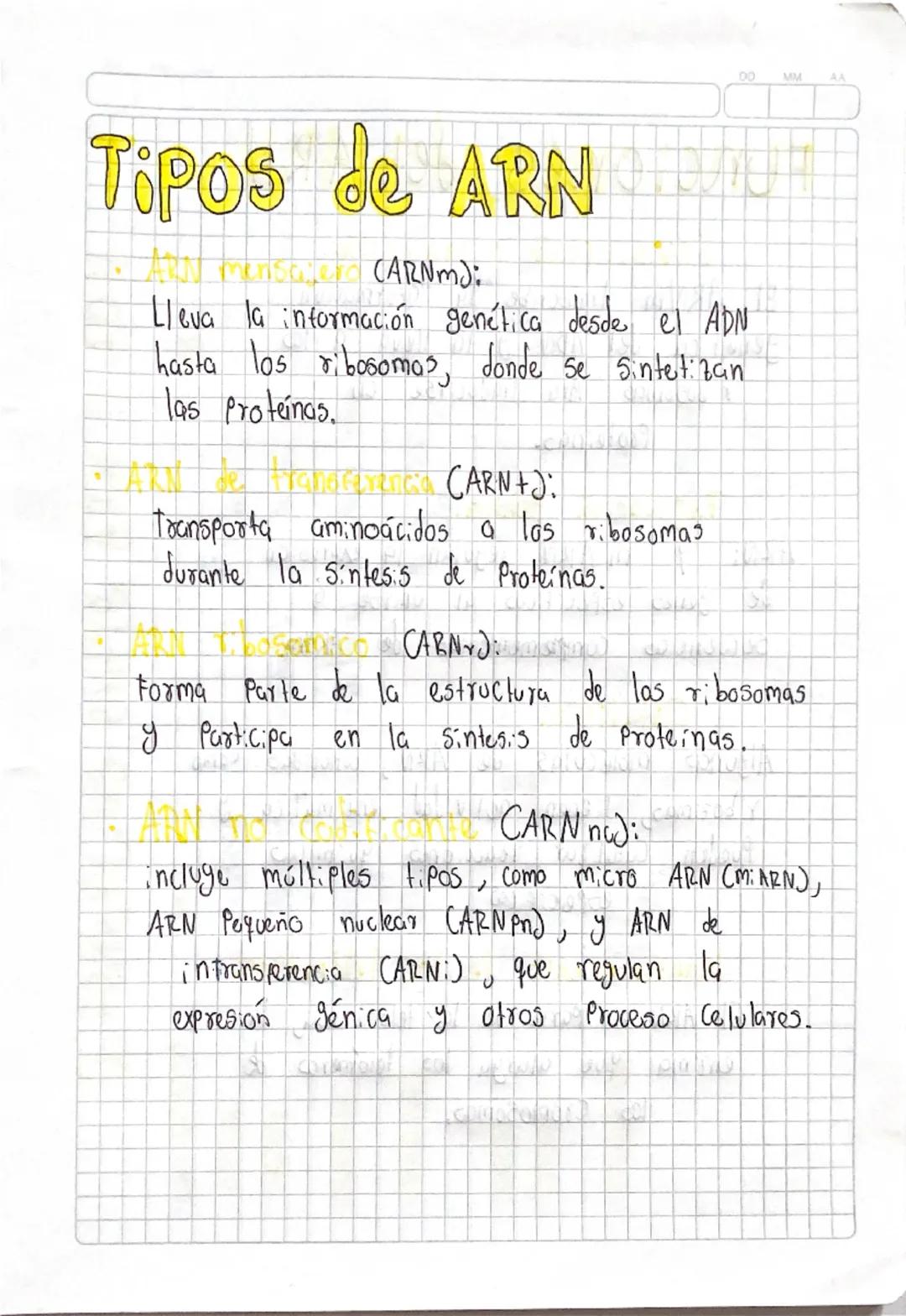 DO
MM
CARN
Ácido Ribonucleico
El ARN Cácido Ribonucleida) es un tipo
de ácido nucleico que desempeña un papel
Fundamental en la sintesis de 