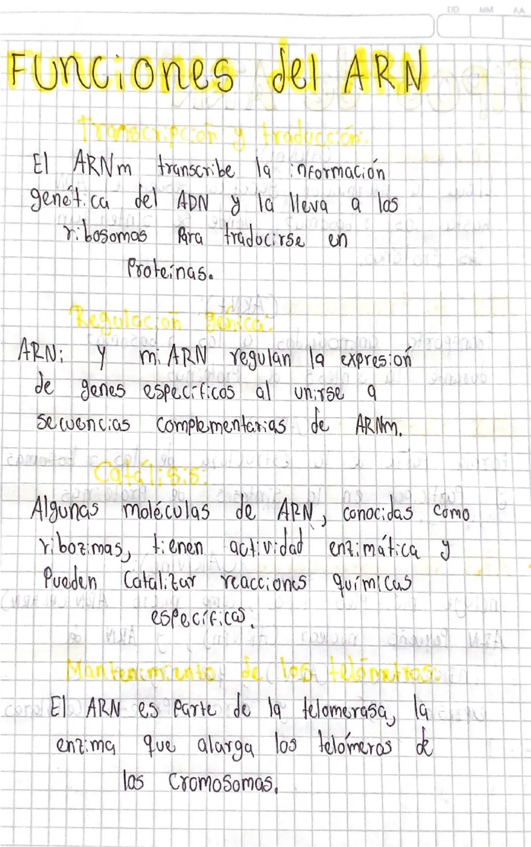 DO
MM
CARN
Ácido Ribonucleico
El ARN Cácido Ribonucleida) es un tipo
de ácido nucleico que desempeña un papel
Fundamental en la sintesis de 