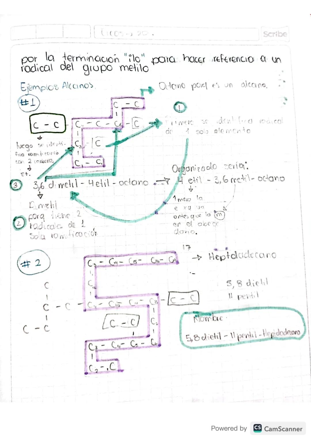Scribe
13
03
24
# CLASIFICACIÓN 4

★NOMENCLATURA ★

El ser humano clasifica y aganiza la informa.
ción que adquiere de su entorno para faci
