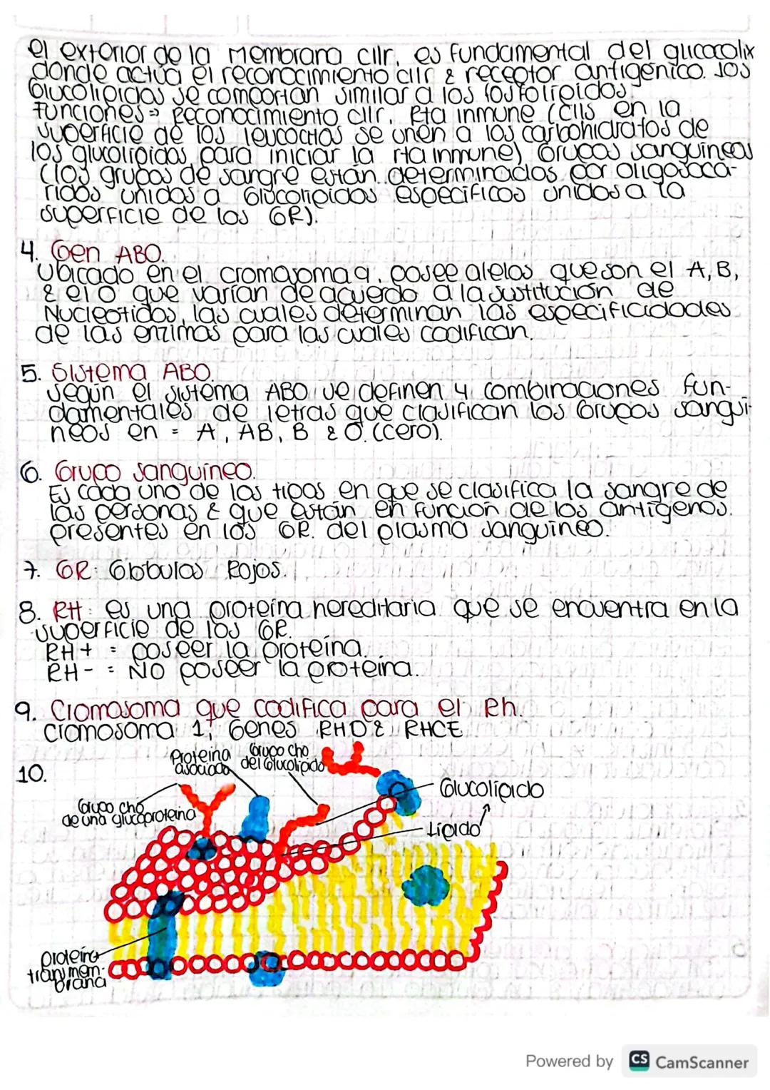PRELABORATORIO
1. Poteinas de Membrana.
Son proteinas embebicas en la bicapa fosfolipidica de la cil, cum-
Olen una función critica en el ma