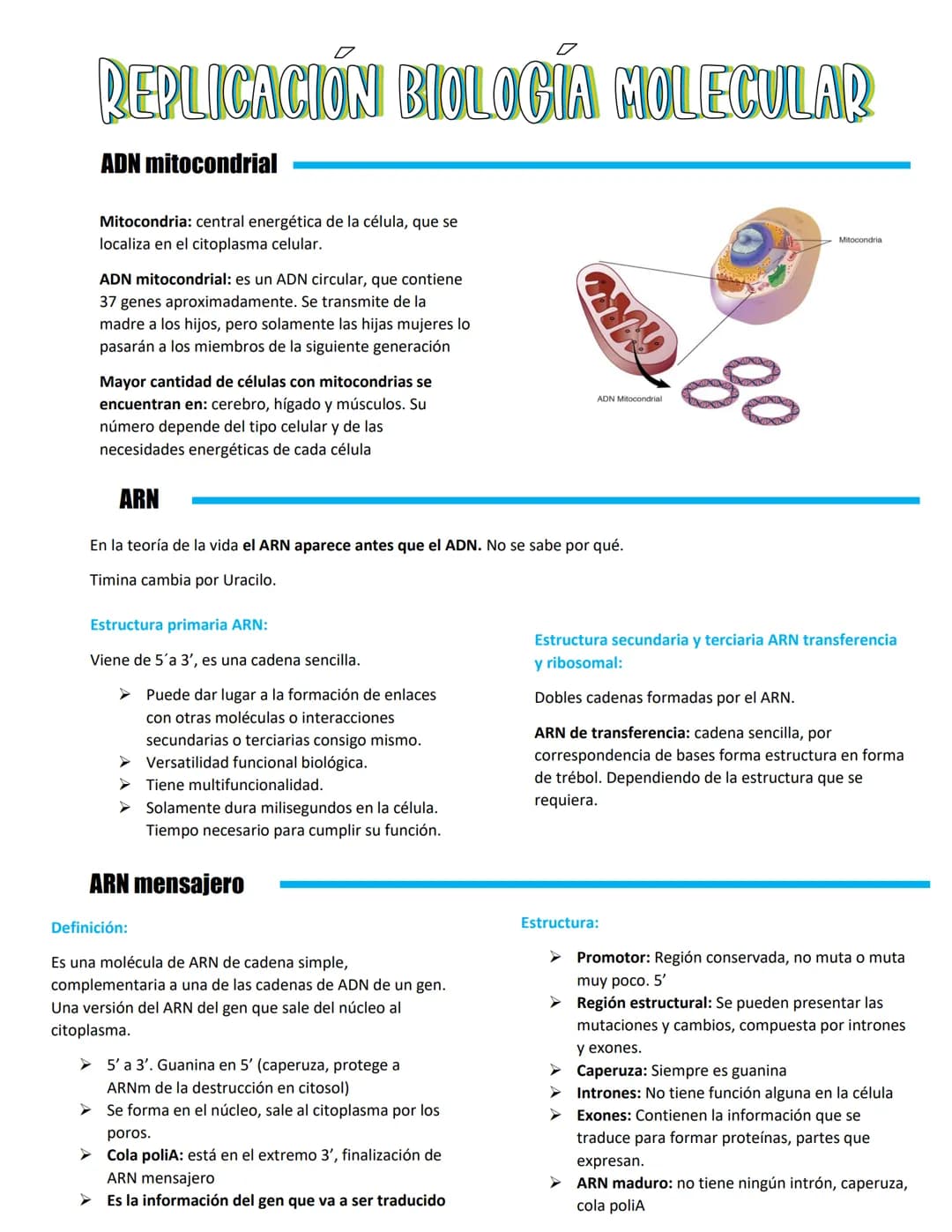 REPLICACIÓN BIOLOGÍA MOLECULAR
ADN mitocondrial
Mitocondria: central energética de la célula, que se
localiza en el citoplasma celular.
ADN 