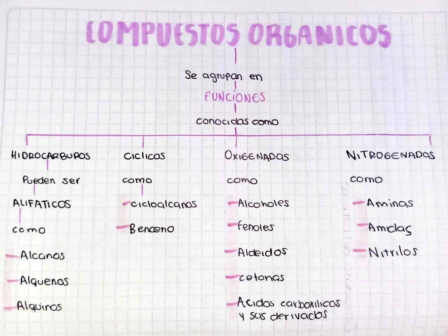 COMPUESTOS ORGANICOS
Se agrupan en
FUNCIONES
conocidas como
HIDROCARBUROS
Pueden ser
como
ALIFATICOS
Ciclicas
Cicloalcanos
OXIGENADOS
como
N