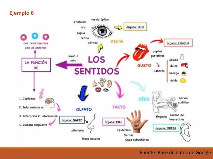 El MAPA MENTAL OBJETIVO DE APRENDIZAJE
Reconoce la importancia del mapa mental como una técnica
de estudio que favorece el desarrollo del pe