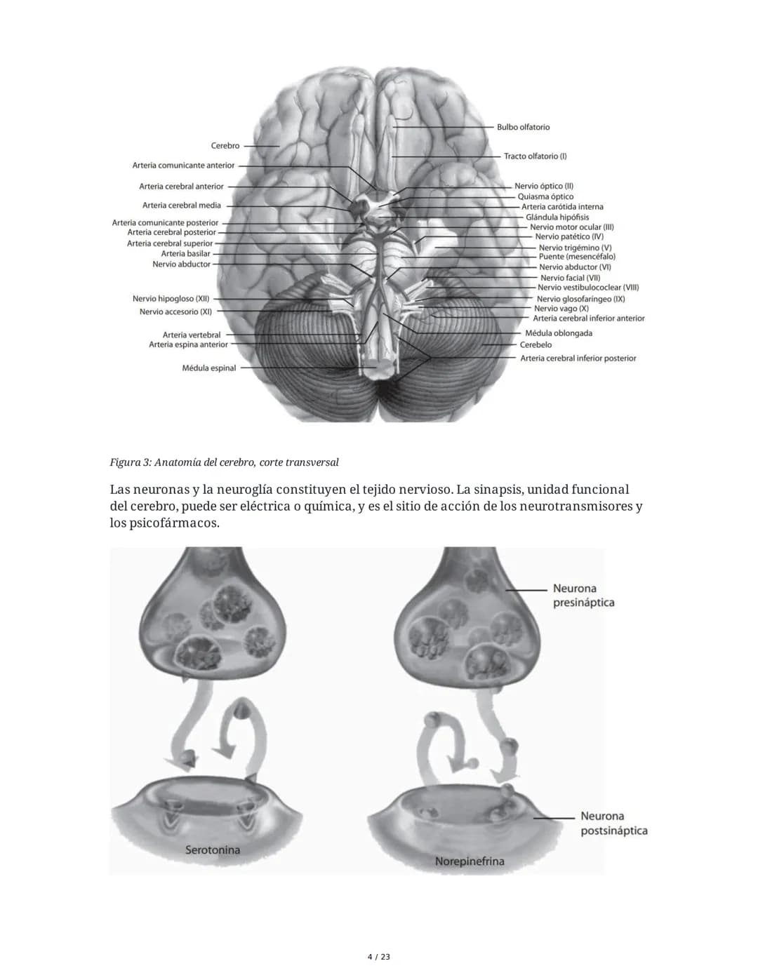 Psicología Clínica - Resumen Integral
1. Introducción a la Psicología Clínica
La psicología clínica es un campo profesional y disciplinario 