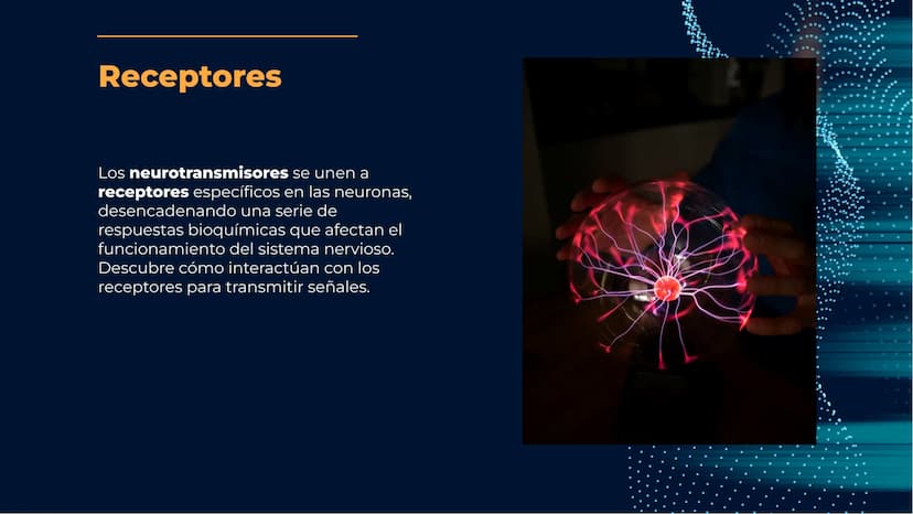 Neurotransmisores:
Mensajeros químicos
del cerebro Introducción
Los neurotransmisores son sustancias químicas que
transmiten señales entre l