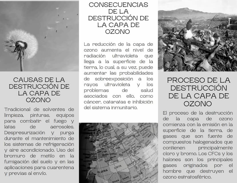 LA CAPA DE
OZONO
La capa de ozono es una
сара que envuelve la
Tierra y minimiza parte de
la radiación que llega a la
corteza terrestre. Se
d
