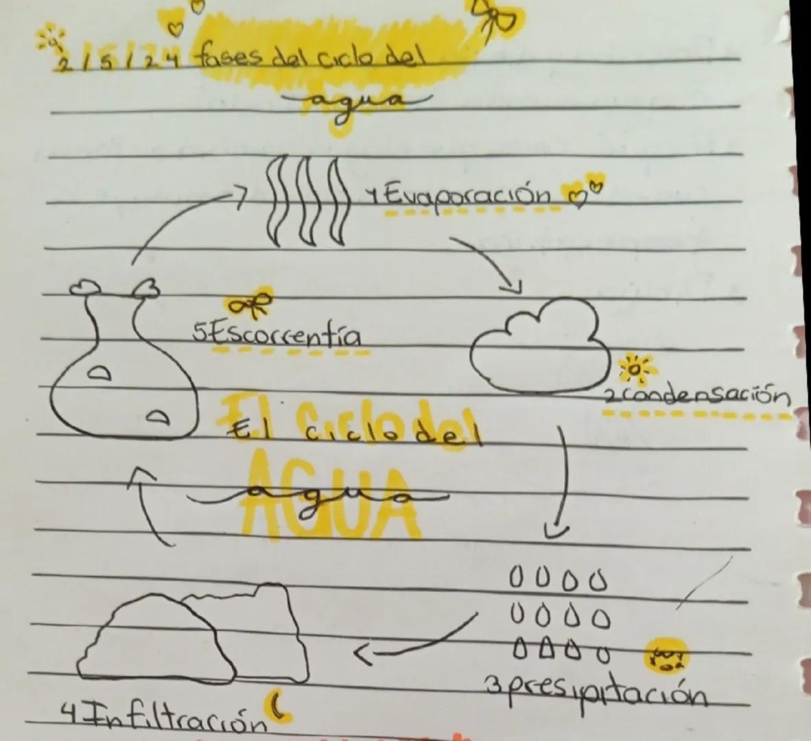 22/5/24 fases del Ciclo de
agua
5Escorrentia
1Evaporación
El ciclodel
agua
4Infiltración
0000
0000
0000
condensación
3presipitación