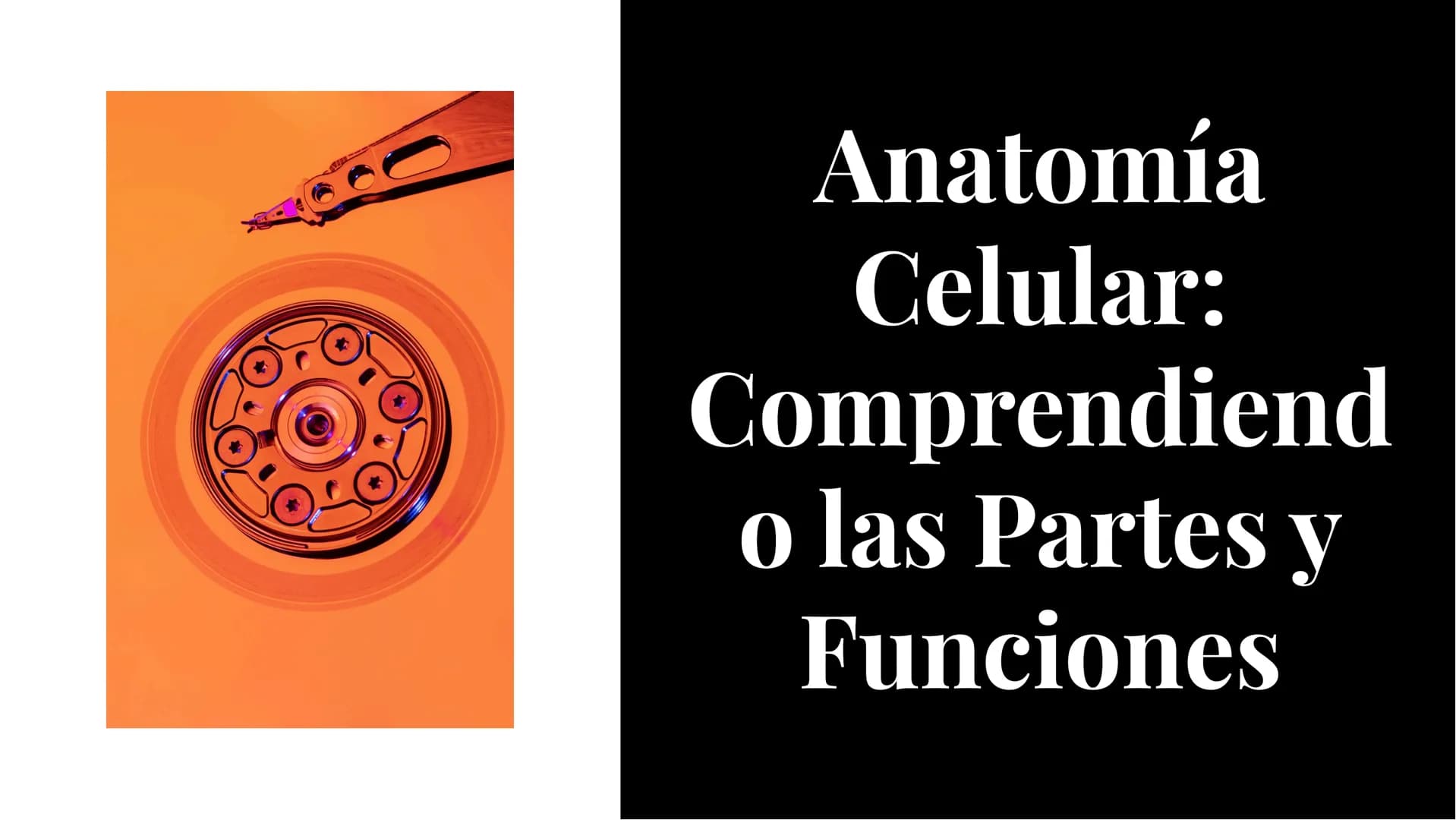 Anatomía
Celular:
Comprendiend
o las Partes y
Funciones Introducción
La anatomía celular es el estudio de
la estructura y funciones de las
c