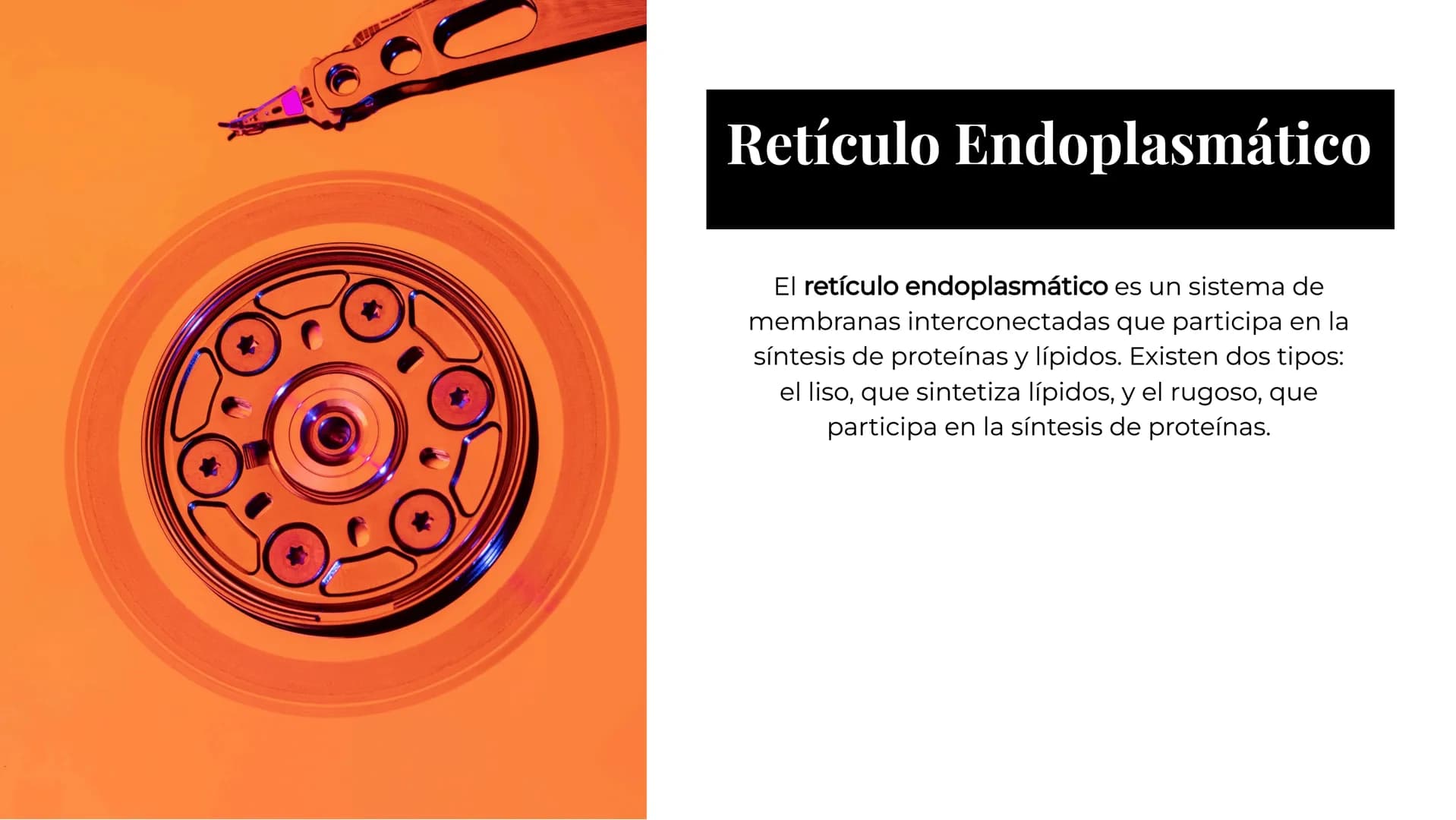 Anatomía
Celular:
Comprendiend
o las Partes y
Funciones Introducción
La anatomía celular es el estudio de
la estructura y funciones de las
c