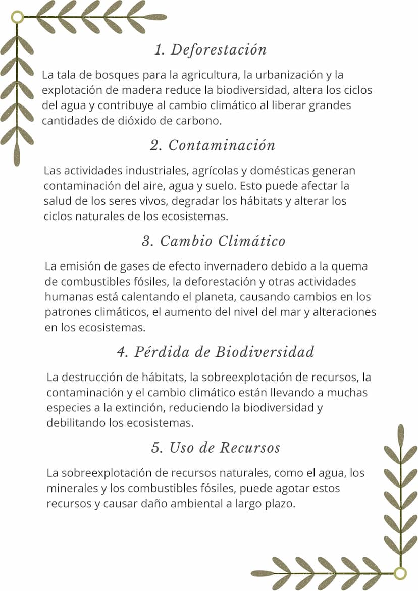 ECOSISTEMAS Y
MEDIO AMBIENTE
Componentes de un
Ecosistema
Un ecosistema es una comunidad de organismos vivos que
interactúan entre sí y con 