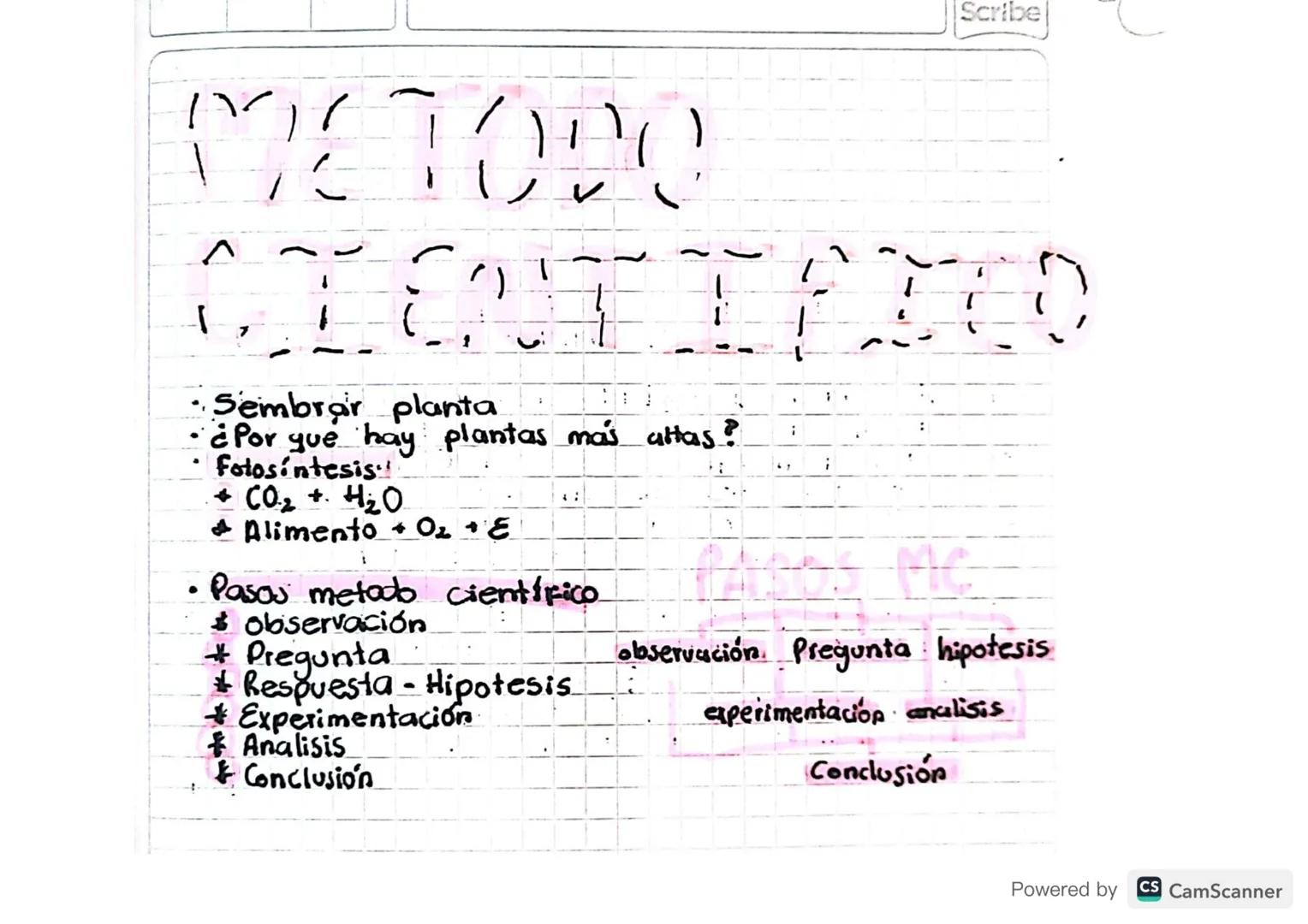 Scribe

METODO

CTEONETETED

7

Sembrar planta
¿Por que hay plantas más altas?
Fotosintesis
+ CO2 + H2O
Alimento O₂ + E

• Pasos metodo cien